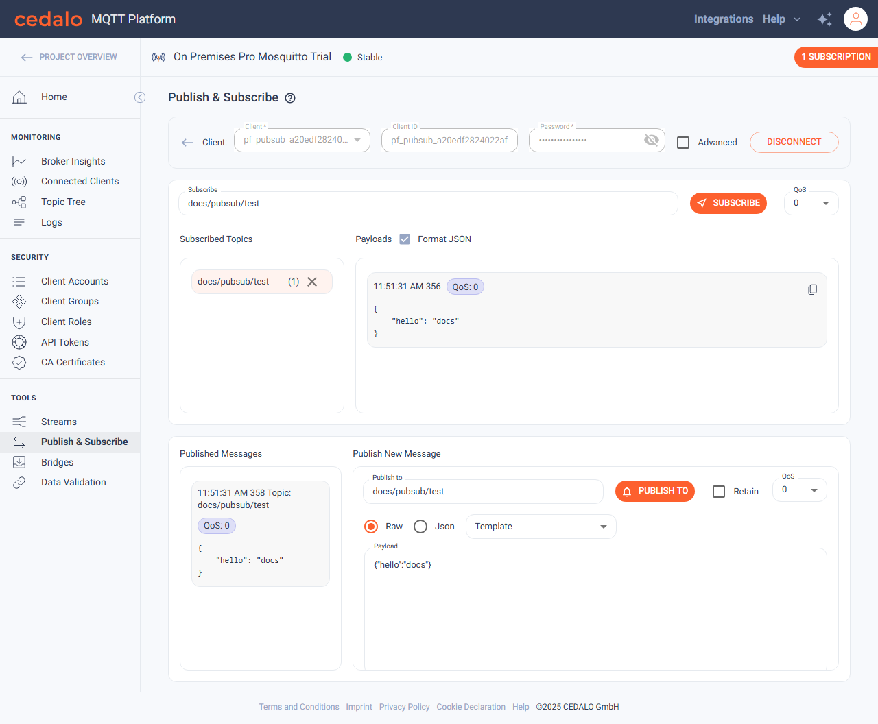 Published message and payloads